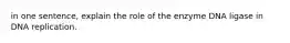 in one sentence, explain the role of the enzyme DNA ligase in DNA replication.