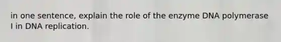 in one sentence, explain the role of the enzyme DNA polymerase I in DNA replication.