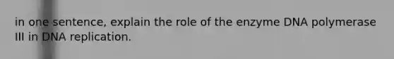 in one sentence, explain the role of the enzyme DNA polymerase III in DNA replication.