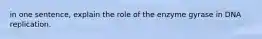 in one sentence, explain the role of the enzyme gyrase in DNA replication.