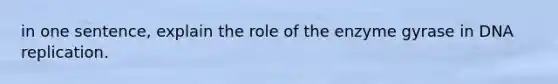 in one sentence, explain the role of the enzyme gyrase in DNA replication.