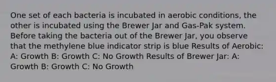 One set of each bacteria is incubated in aerobic conditions, the other is incubated using the Brewer Jar and Gas-Pak system. Before taking the bacteria out of the Brewer Jar, you observe that the methylene blue indicator strip is blue Results of Aerobic: A: Growth B: Growth C: No Growth Results of Brewer Jar: A: Growth B: Growth C: No Growth