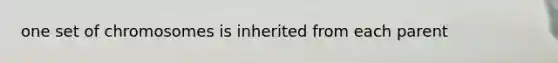 one set of chromosomes is inherited from each parent