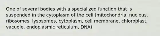 One of several bodies with a specialized function that is suspended in the cytoplasm of the cell (mitochondria, nucleus, ribosomes, lysosomes, cytoplasm, cell membrane, chloroplast, vacuole, endoplasmic reticulum, DNA)