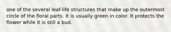one of the several leaf-life structures that make up the outermost circle of the floral parts. It is usually green in color. It protects the flower while it is still a bud.