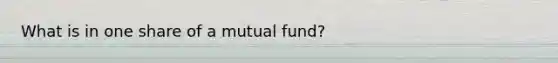 What is in one share of a mutual fund?