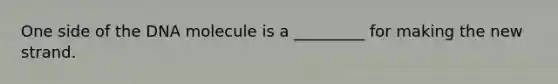 One side of the DNA molecule is a _________ for making the new strand.