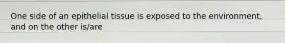 One side of an epithelial tissue is exposed to the environment, and on the other is/are
