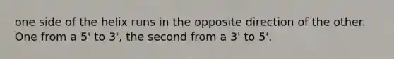 one side of the helix runs in the opposite direction of the other. One from a 5' to 3', the second from a 3' to 5'.