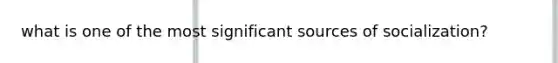 what is one of the most significant sources of socialization?