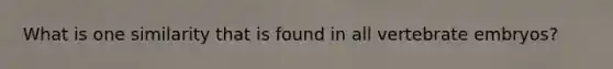 What is one similarity that is found in all vertebrate embryos?