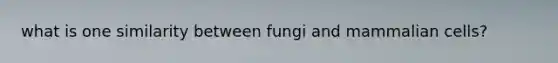 what is one similarity between fungi and mammalian cells?