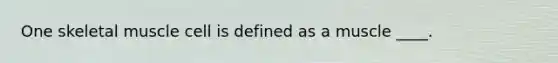One skeletal muscle cell is defined as a muscle ____.