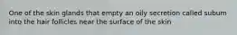 One of the skin glands that empty an oily secretion called subum into the hair follicles near the surface of the skin