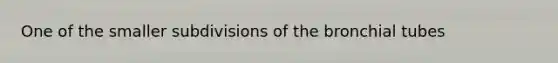 One of the smaller subdivisions of the bronchial tubes