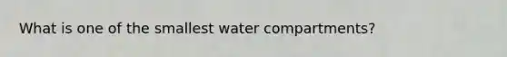 What is one of the smallest water compartments?