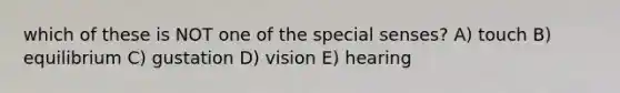 which of these is NOT one of the special senses? A) touch B) equilibrium C) gustation D) vision E) hearing