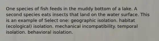 One species of fish feeds in the muddy bottom of a lake. A second species eats insects that land on the water surface. This is an example of Select one: geographic isolation. habitat (ecological) isolation. mechanical incompatibility. temporal isolation. behavioral isolation.