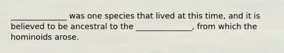 ______________ was one species that lived at this time, and it is believed to be ancestral to the ______________, from which the hominoids arose.