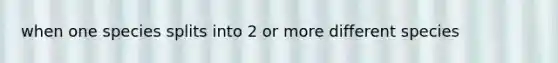 when one species splits into 2 or more different species
