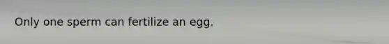 Only one sperm can fertilize an egg.