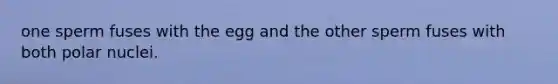 one sperm fuses with the egg and the other sperm fuses with both polar nuclei.