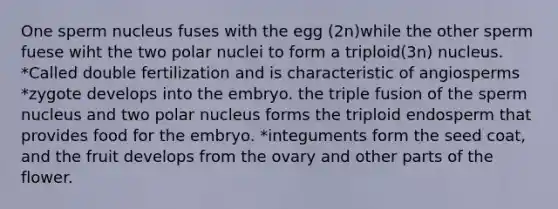 One sperm nucleus fuses with the egg (2n)while the other sperm fuese wiht the two polar nuclei to form a triploid(3n) nucleus. *Called double fertilization and is characteristic of angiosperms *zygote develops into the embryo. the triple fusion of the sperm nucleus and two polar nucleus forms the triploid endosperm that provides food for the embryo. *integuments form the seed coat, and the fruit develops from the ovary and other parts of the flower.