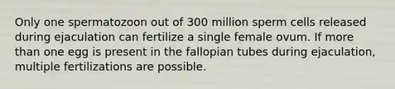 Only one spermatozoon out of 300 million sperm cells released during ejaculation can fertilize a single female ovum. If more than one egg is present in the fallopian tubes during ejaculation, multiple fertilizations are possible.