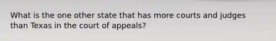 What is the one other state that has more courts and judges than Texas in the court of appeals?