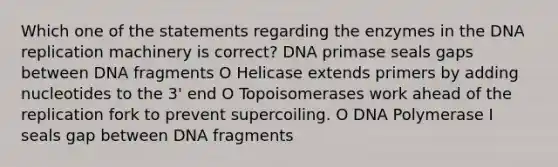 Which one of the statements regarding the enzymes in the DNA replication machinery is correct? DNA primase seals gaps between DNA fragments O Helicase extends primers by adding nucleotides to the 3' end O Topoisomerases work ahead of the replication fork to prevent supercoiling. O DNA Polymerase I seals gap between DNA fragments