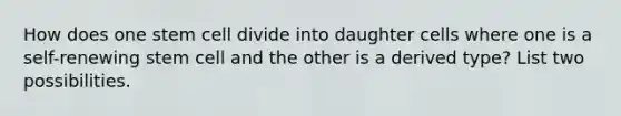 How does one stem cell divide into daughter cells where one is a self-renewing stem cell and the other is a derived type? List two possibilities.