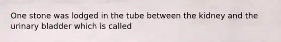 One stone was lodged in the tube between the kidney and the urinary bladder which is called