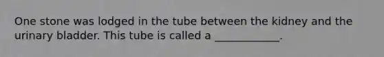 One stone was lodged in the tube between the kidney and the urinary bladder. This tube is called a ____________.