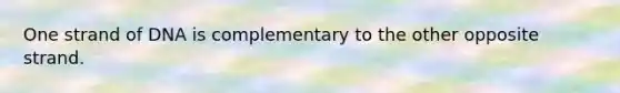One strand of DNA is complementary to the other opposite strand.