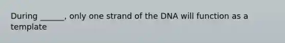 During ______, only one strand of the DNA will function as a template