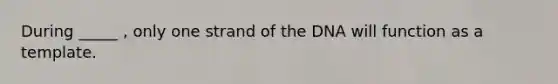 During _____ , only one strand of the DNA will function as a template.