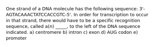 One strand of a DNA molecule has the following sequence: 3'-AGTACAAACTATCCACCGTC-5'. In order for transcription to occur in that strand, there would have to be a specific recognition sequence, called a(n) _____, to the left of the DNA sequence indicated. a) centromere b) intron c) exon d) AUG codon e) promoter