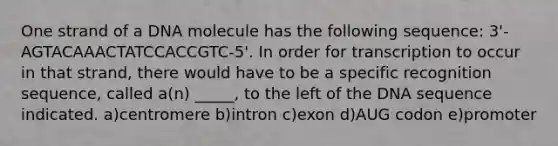 One strand of a DNA molecule has the following sequence: 3'-AGTACAAACTATCCACCGTC-5'. In order for transcription to occur in that strand, there would have to be a specific recognition sequence, called a(n) _____, to the left of the DNA sequence indicated. a)centromere b)intron c)exon d)AUG codon e)promoter