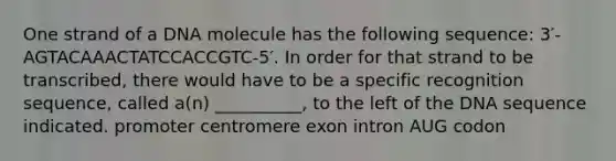 One strand of a DNA molecule has the following sequence: 3′-AGTACAAACTATCCACCGTC-5′. In order for that strand to be transcribed, there would have to be a specific recognition sequence, called a(n) __________, to the left of the DNA sequence indicated. promoter centromere exon intron AUG codon