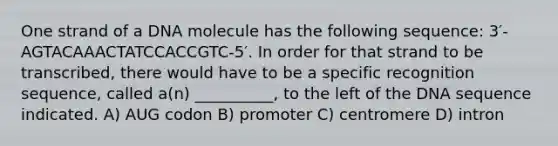 One strand of a DNA molecule has the following sequence: 3′-AGTACAAACTATCCACCGTC-5′. In order for that strand to be transcribed, there would have to be a specific recognition sequence, called a(n) __________, to the left of the DNA sequence indicated. A) AUG codon B) promoter C) centromere D) intron