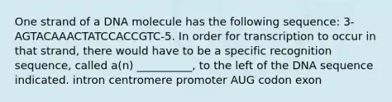 One strand of a DNA molecule has the following sequence: 3-AGTACAAACTATCCACCGTC-5. In order for transcription to occur in that strand, there would have to be a specific recognition sequence, called a(n) __________, to the left of the DNA sequence indicated. intron centromere promoter AUG codon exon