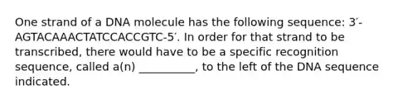 One strand of a DNA molecule has the following sequence: 3′-AGTACAAACTATCCACCGTC-5′. In order for that strand to be transcribed, there would have to be a specific recognition sequence, called a(n) __________, to the left of the DNA sequence indicated.