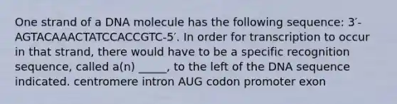 One strand of a DNA molecule has the following sequence: 3′-AGTACAAACTATCCACCGTC-5′. In order for transcription to occur in that strand, there would have to be a specific recognition sequence, called a(n) _____, to the left of the DNA sequence indicated. centromere intron AUG codon promoter exon