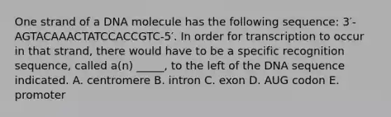 One strand of a DNA molecule has the following sequence: 3′-AGTACAAACTATCCACCGTC-5′. In order for transcription to occur in that strand, there would have to be a specific recognition sequence, called a(n) _____, to the left of the DNA sequence indicated. A. centromere B. intron C. exon D. AUG codon E. promoter