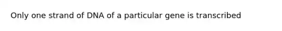 Only one strand of DNA of a particular gene is transcribed