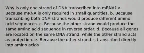 Why is only one strand of DNA transcribed into mRNA? a. Because mRNA is only required in small quantities. b. Because transcribing both DNA strands would produce different amino acid sequences. c. Because the other strand would produce the same amino acid sequence in reverse order. d. Because all genes are located on the same DNA strand, while the other strand acts as protection. e. Because the other strand is transcribed directly into amino acids