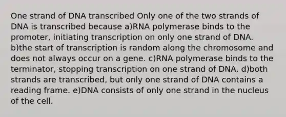 One strand of DNA transcribed Only one of the two strands of DNA is transcribed because a)RNA polymerase binds to the promoter, initiating transcription on only one strand of DNA. b)the start of transcription is random along the chromosome and does not always occur on a gene. c)RNA polymerase binds to the terminator, stopping transcription on one strand of DNA. d)both strands are transcribed, but only one strand of DNA contains a reading frame. e)DNA consists of only one strand in the nucleus of the cell.