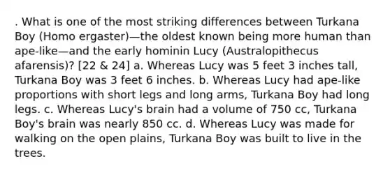 . What is one of the most striking differences between Turkana Boy (Homo ergaster)—the oldest known being more human than ape-like—and the early hominin Lucy (Australopithecus afarensis)? [22 & 24] a. Whereas Lucy was 5 feet 3 inches tall, Turkana Boy was 3 feet 6 inches. b. Whereas Lucy had ape-like proportions with short legs and long arms, Turkana Boy had long legs. c. Whereas Lucy's brain had a volume of 750 cc, Turkana Boy's brain was nearly 850 cc. d. Whereas Lucy was made for walking on the open plains, Turkana Boy was built to live in the trees.