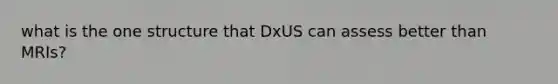 what is the one structure that DxUS can assess better than MRIs?