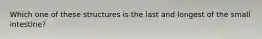 Which one of these structures is the last and longest of the small intestine?